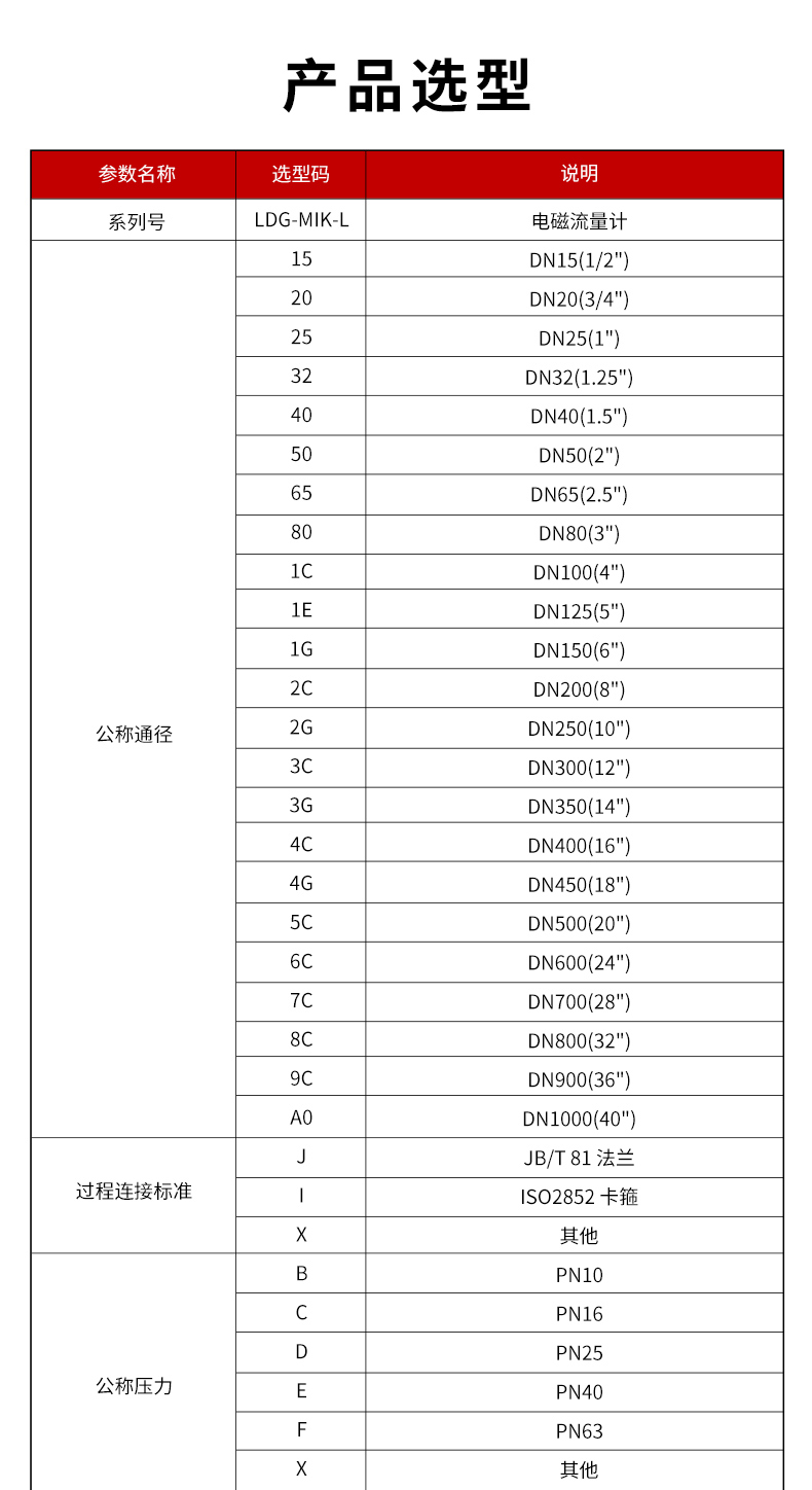 LDG-MIK-L電磁流量計(QT)_01.jpg