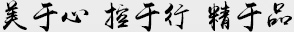 美于心，控于行，精于品